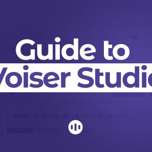 Guide to Voiser Studio